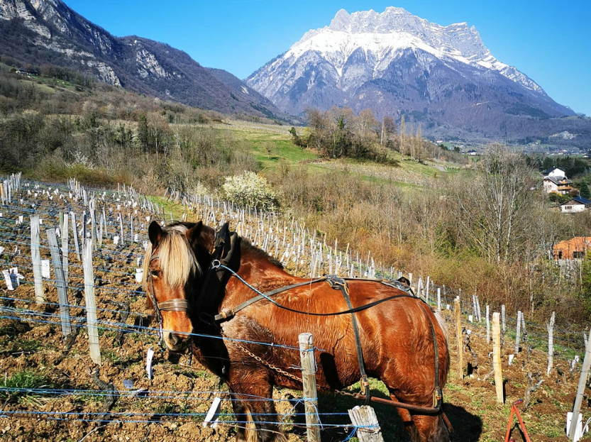 Next in Savoie: Domaine des Côtes Rousses