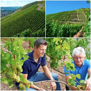 Brilliance Along the Nahe: 2015 Emrich-Schönleber Dry Rieslings