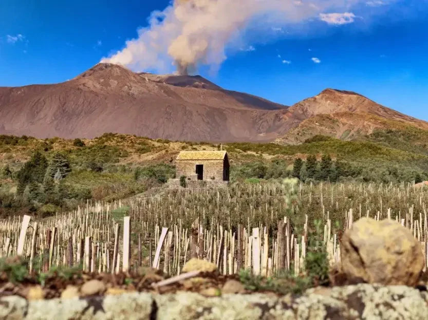 Etna’s Grand Cru Carricante: Benanti