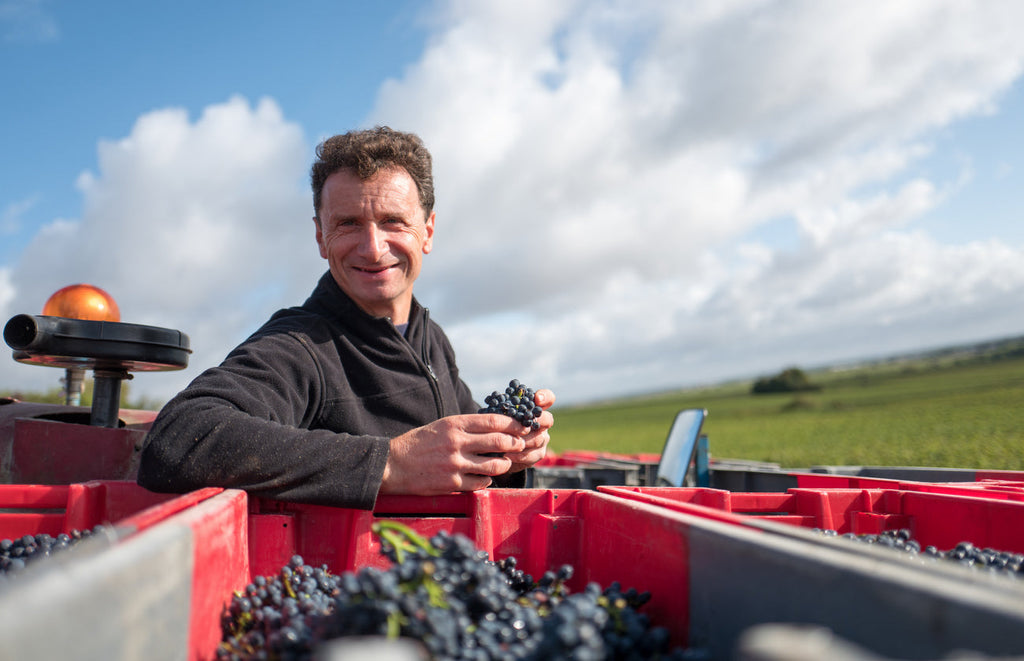 Morey-Saint-Denis Icon: Hubert Lignier