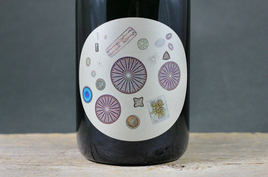 2019 Sandhi Sta. Rita Hills Blanc de Noirs