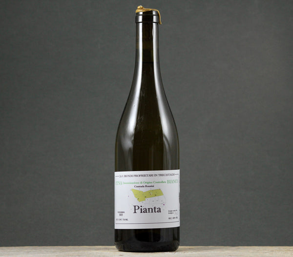 2022 Ciro Biondi Pianta Etna Bianco