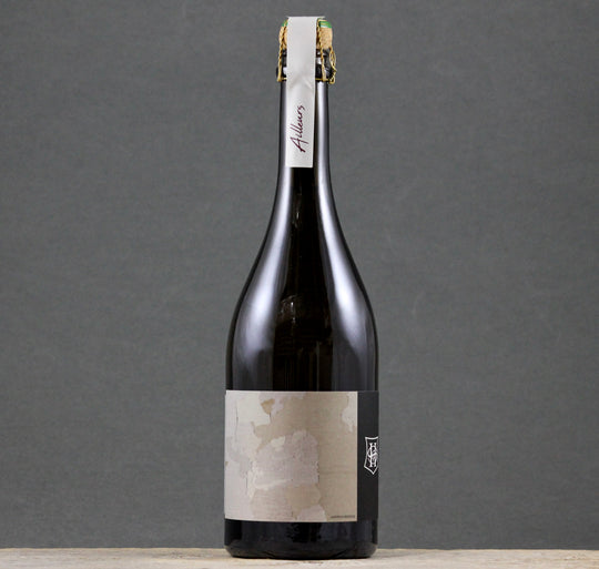 2019 Horiot Ailleurs Brut Nature Champagne