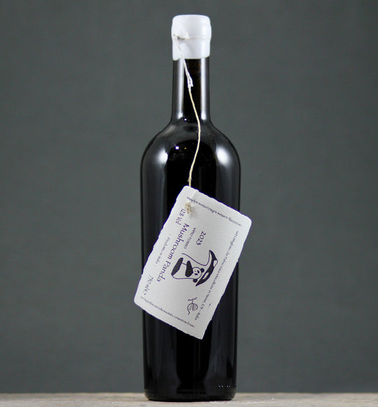 2023 Fabio Gea Vino Rosso Mushroom Panda