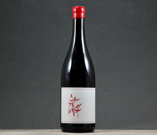 2024 Arnot-Roberts Heaven and Earth Pinot Noir
