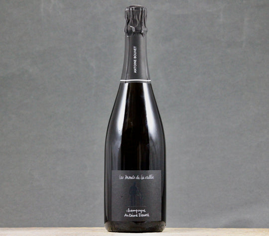 Antoine Bouvet Les Monts de la Vallée Blanc de Noirs Extra Brut Champagne (2023)