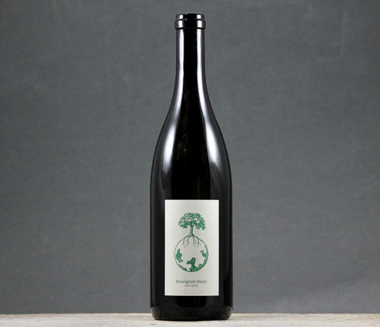2024 Werlitsch Sauvignon Blanc Vom Opok