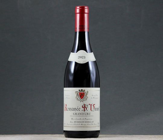 2023 Hudelot-Noellat Romanée Saint Vivant