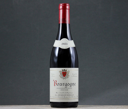 2023 Hudelot-Noellat Bourgogne Rouge