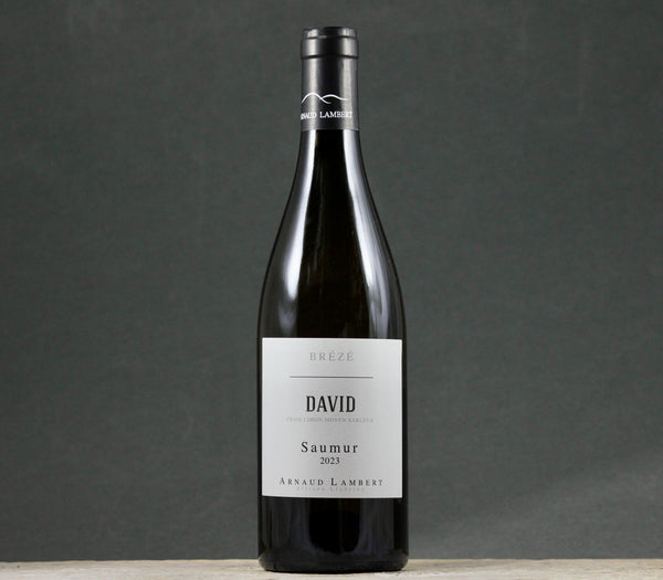 2023 Arnaud Lambert Brézé Clos David Saumur Blanc